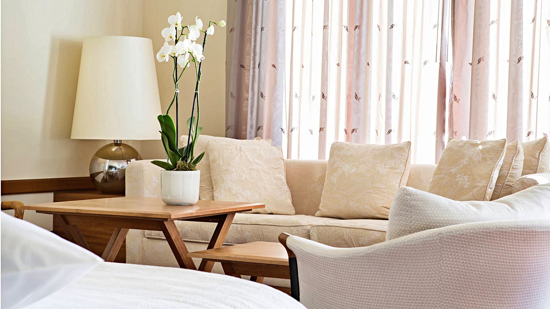 네성스 주니어 스위트