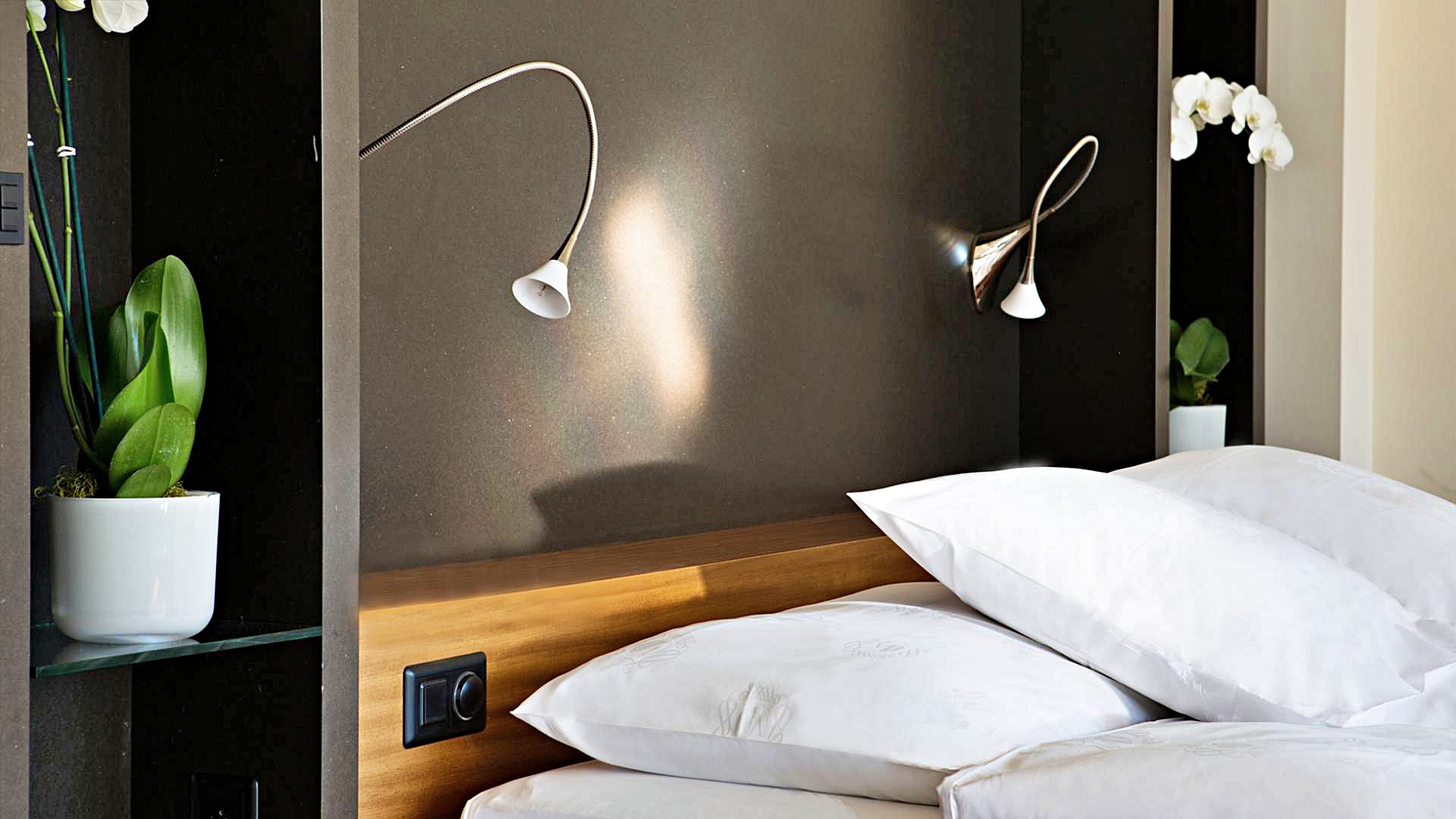 네성스 주니어 스위트