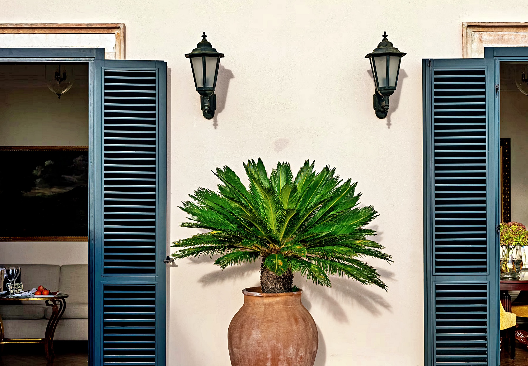 플로레스타 스위트